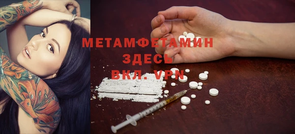 шишки Белоозёрский