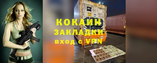 шишки Белоозёрский