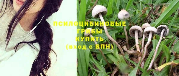 шишки Белоозёрский