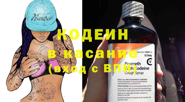 шишки Белоозёрский
