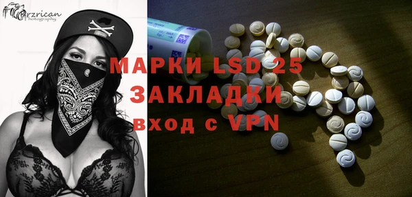 шишки Белоозёрский