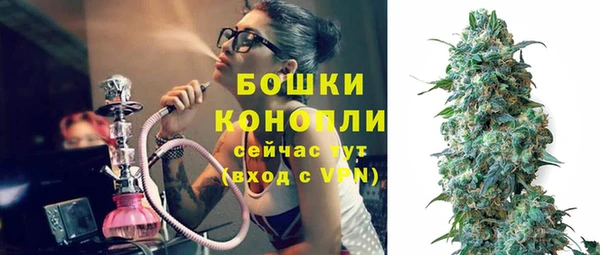 Альфа ПВП Белокуриха