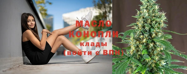 шишки Белоозёрский